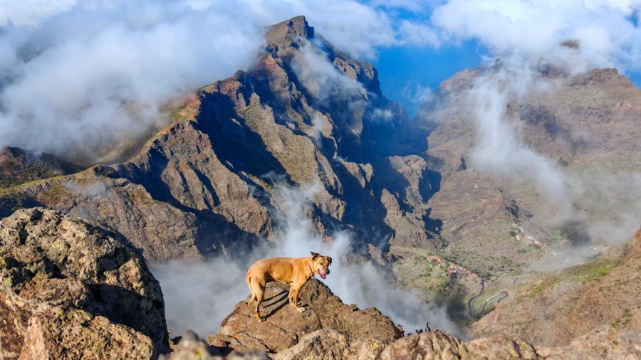 Geführte Wanderung auf Teneriffa